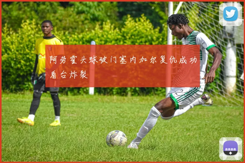 阿劳霍头球破门塞内加尔复仇成功看台炸裂