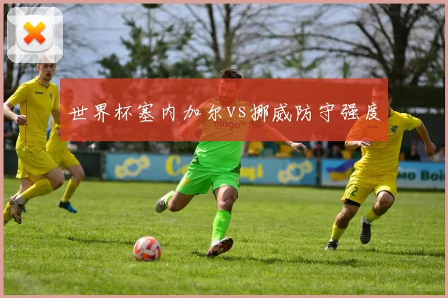 世界杯塞内加尔vs挪威防守强度