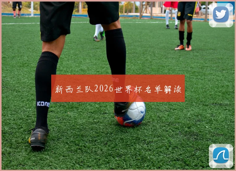 新西兰队2026世界杯名单解读