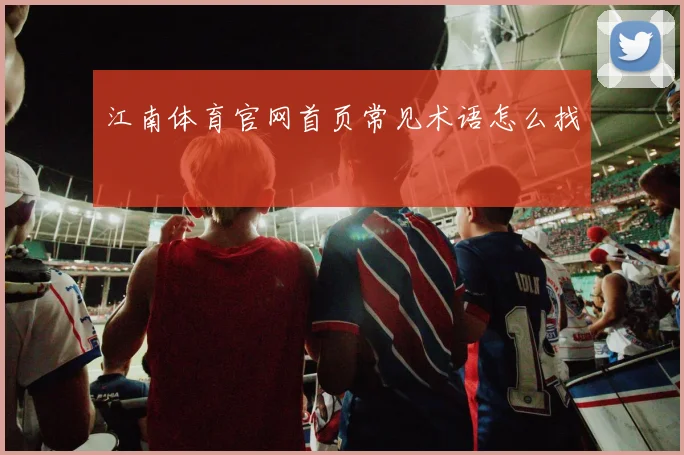 江南体育官网首页常见术语怎么找
